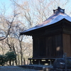 和宏さんの花巡礼「阿佐尻山」　春告草