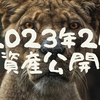 【資産公開】2023年2月の資産状況（前月比+30万）