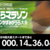第24回かすみがうらマラソンの予定