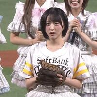 HKT48/AKB48 兒玉遥チェッカー