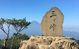 記事を見る
