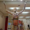 中年男性がロンドンで医療と絡ませたミュージアムWellcome Collectionに行ってきたヨーグルト。