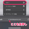 SafariのアドレスバーのURLをすぐにコピーする方法【iPhone】