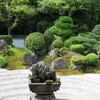 東福寺（霊雲院・方丈・光明院・雪舟寺）