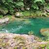 バスと徒歩で越美線未成線をたどる（北濃～九頭竜湖）