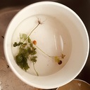 福毛日記