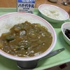 ９月１９日（水）カレーの日