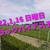 2022,1,16 日曜日 トラックバイアス予想 (中山競馬場、中京競馬場、小倉競馬場)