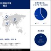 酸化亜鉛市場2023-2035：範囲、需要の高まり、シェア、トレンド、成長、機会、トップキープレーヤー