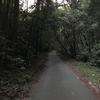 ジョギング21.00km・久しぶりの猿投山峠走