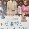 墓泥棒と失われた女神