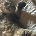 すけのしんのええ。