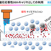 コロナワクチンに含まれるナノ粒子について（前回記事の訂正）と、医者に相談しても科学的根拠のある話を聞ける可能性は低いということについて。