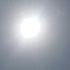 晴れ☀　ネタ切れ何も浮かばん(・_・;)