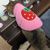 寝室のルーティーン