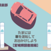 たまには車を運転してお出かけしてみよう！（仙台市泉区 宮城県図書館 編）