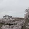 【岡山県北】津山城（鶴山公園）２０１９年桜の見頃は…