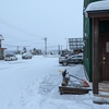 ササっと除雪