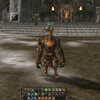 Lineage II（バーツサーバ）：猫と一体化できる呪文を覚えたぞヽ(*´∀｀)ノ