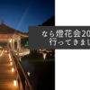 なら燈花会2023に行ってきました