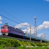 E255系AT廃車配給の撮影