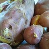 実りの秋