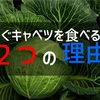 今すぐキャベツを食べるべき２つの理由