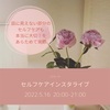 5/18  20:00~セルフケアインスタライブ