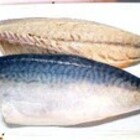 本当の烏賊金 いかきん 魚屋日記