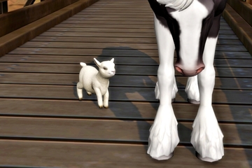Horse Ranch（23）