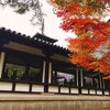 【奈良】日本最古の世界遺産！法隆寺＆法起寺【生駒郡】