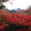 紀伊半島・京都・琵琶湖（東福寺）