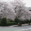沼田公園