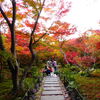 【宝筐院】紅葉の色彩美は嵐山随一！庭園の見どころや歴史も丸わかり♪