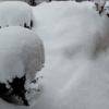 雪☃止まないかな😶