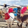 ラバンくん３歳のお誕生日会