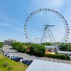 多摩地域ウォーキング「京王よみうりランド駅→よみうりV通り→京王稲田堤駅」で心地良い汗をかく