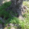連帯へ／姿勢・62