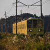 近江鉄道 2024　11/22-23