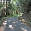 晴れ 勝尾寺～妙見山～銭原