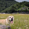 息子とワンコと半月山へ・・・日光の自然を満喫して