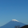 西伊豆スカイラインと旅の終わり