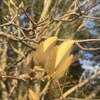 「許し」のプロセスにおける「感情的理解」の重要性。