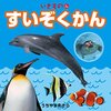 新種の可能性あり❗️京都でイルカの化石発見🐬