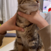 ママにマッサージしてもらっているあんころもち♪