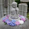 【郡上市】桂昌寺あじさい祭り（7月中旬まで）