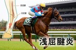 エネルジコが浅屈腱炎で全治9ヶ月以上！復帰できる？引退の可能性は？