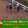 神戸新聞杯（GII) 【競馬調教】 トゥルーハート調教動画　「競馬レース結果ハイライト」2016年≪競馬場の達人,競馬予想≫