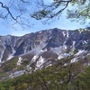 鳥取で「一般登山道で登れる」一番高い峰に立ってきた_2：無限階段の後日本海大展望【伯耆大山弥山1706ｍ】