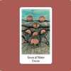 Vision Quest Tarot：Seven of Water